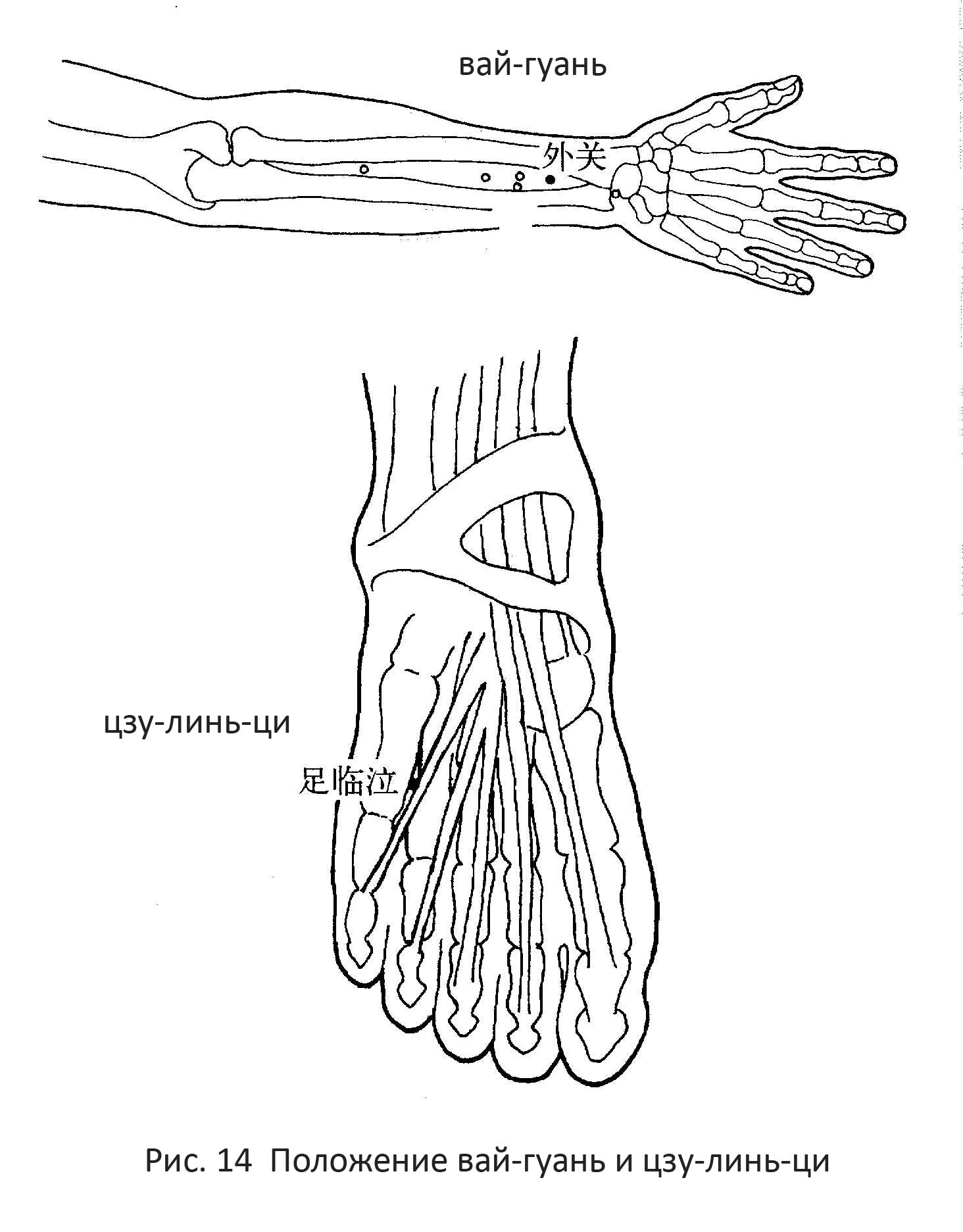  4 ACUPUNCTURU RU